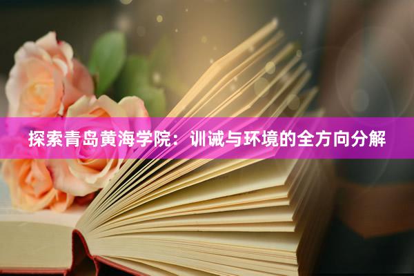 探索青岛黄海学院：训诫与环境的全方向分解